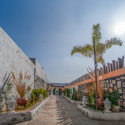 Sunlit resort pathway with plants and rustic walls